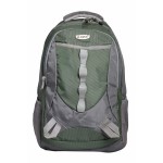 Aqsa ALB54 Stylish Laptop Bag (Mehndi and Grey)